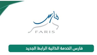 كيف يدعم نظام فارس رؤية السعودية 2030 في التحول الرقمي؟
