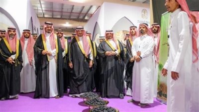 المدينة المنورة وملتقى تمور العجوة.. عجوة المدينة: رمز التراث والفوائد الصحية