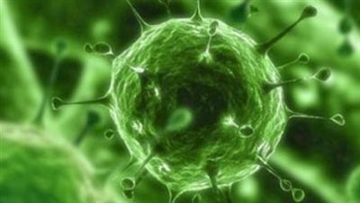 فيروس A: ما هو التهاب الكبد الوبائي A وكيف ينتقل؟