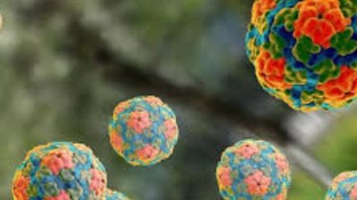 علاج فيروس A: هل هناك دواء محدد للمرض؟