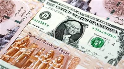 الدولار في مصر خلال التداولات المسائية مستقر في البنوك