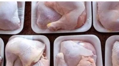 بورصة الدواجن اليوم أسعار الفراخ البيضاء في المنوفية 20-9-2025