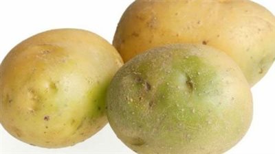 أضرار المادة الخضراء في البطاطس على الصحة