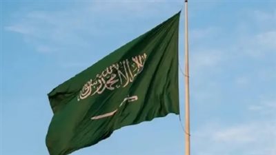 صور اليوم الوطني 95: احتفالات ومظاهر وطنية مميزة