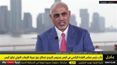 الزبيدي: نشكر دولة الإمارات على دعمها شبكة الكهرباء في مناطق الجنوب