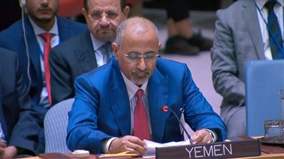 الزُبيدي في مجلس الأمن: الذكاء الاصطناعي فرص ومخاطر على الأمن الدولي