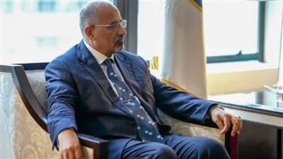 مشاركة الزُبيدي في الأمم المتحدة.. حضور استثنائي لقضية الجنوب