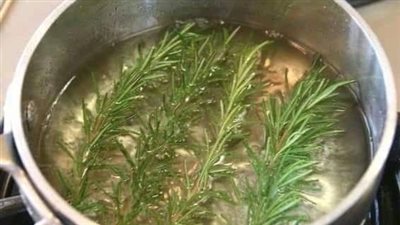 خلطة الروزماري للشعر.. سر الجمال الطبيعي 