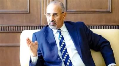 مشاركة الزُبيدي في الأمم المتحدة تربك قوى الشر وتكشف مخاوف المليشيات الإخوانية