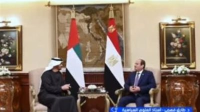زيارة محمد بن زايد للقاهرة.. دعم عربي مشترك لملف غزة