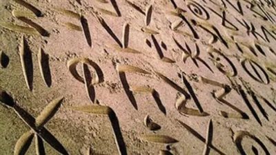 يوم اللغة المهرية: احتفاء بالهوية الجنوبية وترسيخ للذاكرة الحضارية