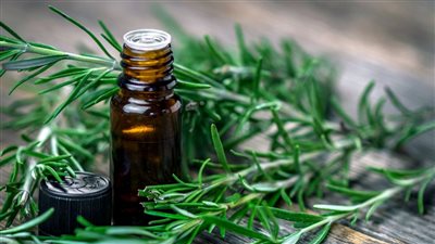 زيت إكليل الجبل.. الفوائد والاستخدامات والآثار الجانبية