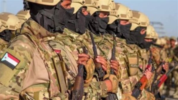 القوات المسلحة الجنوبية تواصل ضرباتها ضد الإرهاب في أبين