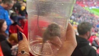 فضيحة جديدة لـ 