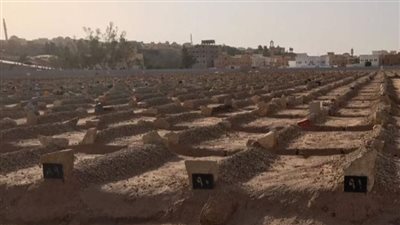 من هي الطفله سيلا التي تصدرت التريند؟ 