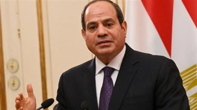 الرئيس السيسي: مصر لن تقف مكتوفة الأيدي أمام تهديدات سد النهضة