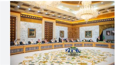 تعديل نظام المحاسبة والمراجعة وتنظيم الهيئة السعودية للمراجعين