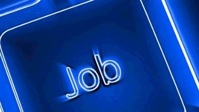 أنواع الوظائف المتاحة على بوابة الوظائف الحكومية المصرية