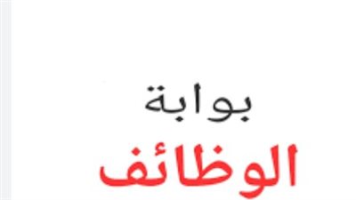 مميزات بوابة الوظائف الحكومية: التقديم الإلكتروني بسهولة وشفافية