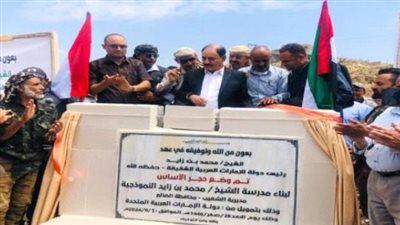 الدعم الإماراتي للجنوب: نموذج أخوي ومثال للتعاون الإقليمي