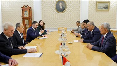 الزبيدي: نثمن دور روسيا في دعم بلادنا