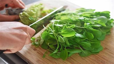 فوائد الجرجير الصحية.. 4 منافع مذهلة وقيم غذائية مرتفعة