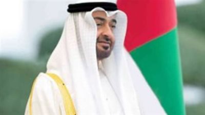 الشراكة بين الجنوب والإمارات: نموذج عربي للتعاون والتنمية المستدامة