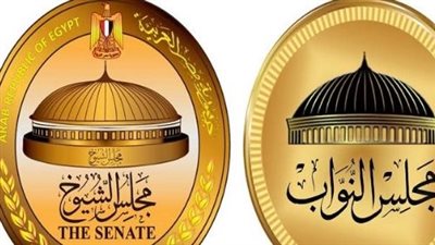 انتخابات مجلس النواب 2025.. موعد الترشح والدعاية والإعادة بالتفصيل