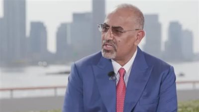 الزُبيدي ورؤية القيادة الجنوبية نحو تنويع الشركاء الدوليين