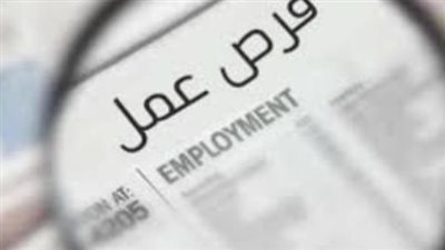 التسجيل الإلكتروني في الوظائف الحكومية المصرية: خطوات ومميزات