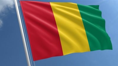 المحكمة العليا في غينيا بيساو تُقر قائمة نهائية تضم 12 مرشحًا للانتخابات الرئاسية المقبلة