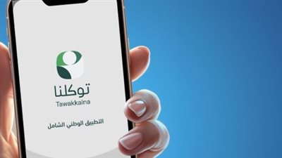 معايير التميز الرقمي: 