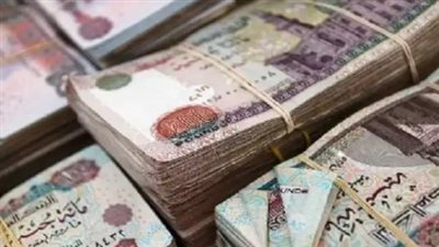 استعلم الآن: خطوات بسيطة لمعرفة قيمة معاشك في نوفمبر 2025 بالرقم القومي عبر موقع التأمينات الاجتماعية