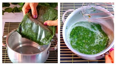 طريقة عمل الملوخية المجمدة