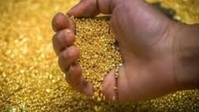 خبير عالمي: مورغان ستانلي يتوقع وصول الأونصة إلى 4300 دولار في 2026.. ماذا يعني للسوق المصري؟