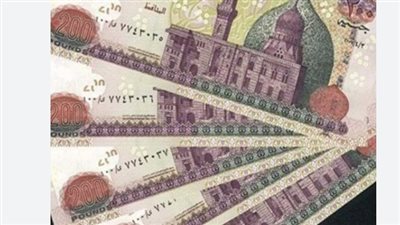 المالية تُعلن: الأحد 23 نوفمبر موعد انطلاق صرف رواتب العاملين بالدولة.. وهذه طرق الاستلام