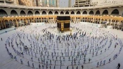 الرقم القومي هو مفتاحك: طريقة استخدام 