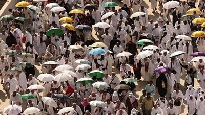 الحوكمة الإلكترونية: دور البوابة المصرية للحج في مراجعة برامج الشركات السياحية وضمان التزامها