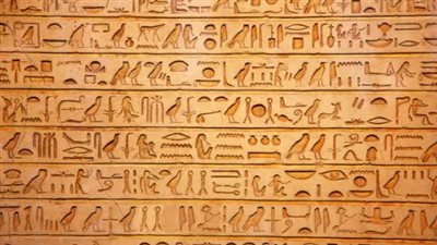 حقيقة تدريس مادة 