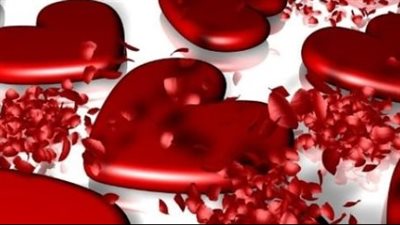 نوفمبر شهر الحب بأبعاد جديدة: عيد المودة المصرية ويوم الفردية العالمي