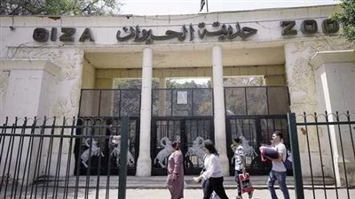 موعد افتتاح حديقة حيوان الجيزة 2025.. وأسعار التذاكر