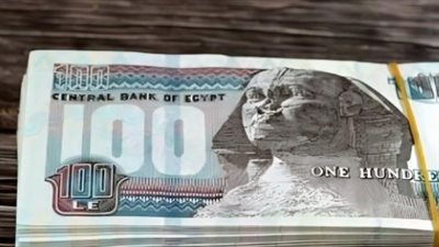 قرار حكومي جديد: المالية تبدأ صرف المتأخرات قبل الموعد الرسمي.. هل أنت ضمن المستفيدين في نوفمبر؟