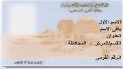 من المول التجاري إلى باب المنزل: أحدث تسهيلات استخراج بطاقة الرقم القومي 2025 وكيفية الحجز أونلاين