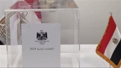 دليل الناخب 2025: كيف تستعلم عن مقر لجنتك الانتخابية بالرقم القومي عبر موقع الهيئة الوطنية للانتخابات؟