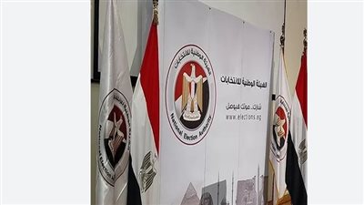 دليل شامل: كل ما تحتاج معرفته عن الهيئة الوطنية للانتخابات والمقرات الانتخابية في مصر