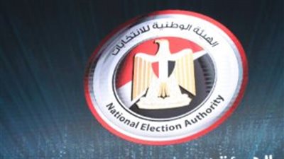أهمية الاستعلام ومعلومات يجب معرفتها.. رابط الموقع الإلكتروني للهيئة الوطنية للانتخابات