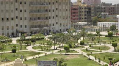 دليلك للبحث العلمي: أهمية اختيار المشرف الأكاديمي في ماجستير ودكتوراه بني سويف