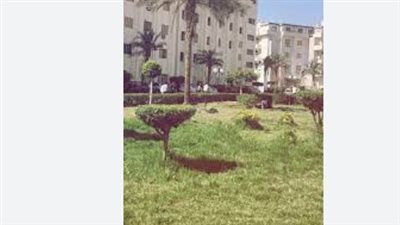 كم تكلفة الماجستير والدكتوراه في جامعة بني سويف؟ الرسوم الدراسية المحدثة