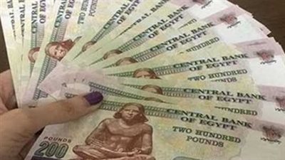 تأكيد رسمي: قيمة معاشات شهر ديسمبر 2025 لجميع الشرائح الـ 14 (جدول مفصل)