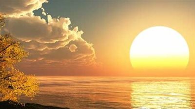 تعليمات بسيطة: كم أقل وأكثر عدد ركعات لصلاة الضحى؟ وما هو الراجح بين الفقهاء؟